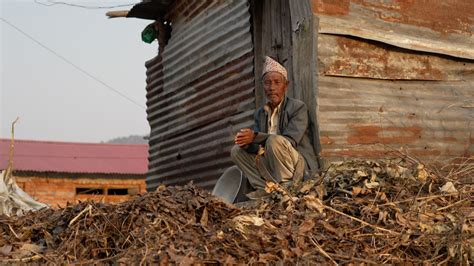 hokse village in nepal|The village where hundreds were duped into selling their kidneys.